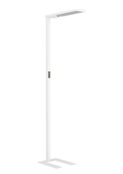 Synergy 21 S21-LED-NB-250131
