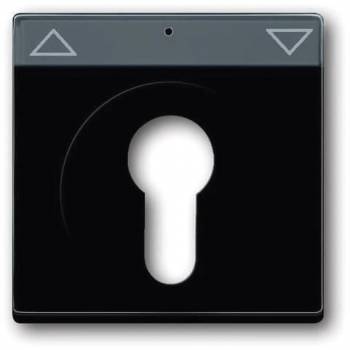 Busch Jaeger 2CKA001710A3626