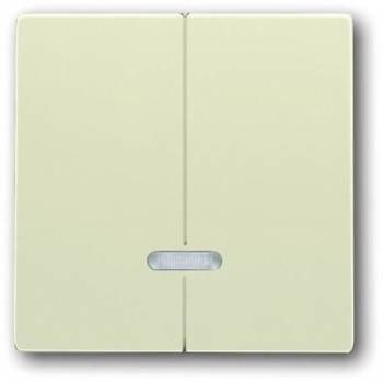 Busch Jaeger 2CKA006599A2907