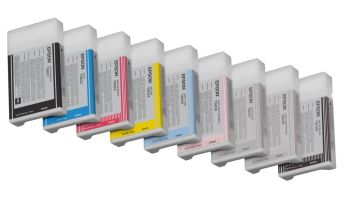 Epson C13T603600