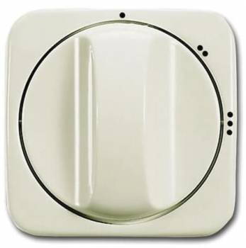 Busch Jaeger 2CKA001710A3419