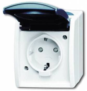 Busch Jaeger 2CKA002083A0842
