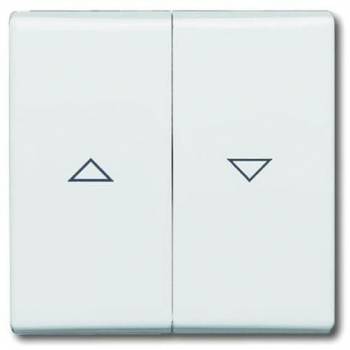 Busch Jaeger 2CKA001731A1650