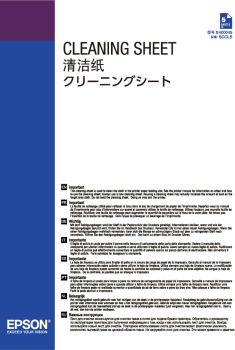 Epson C13S400045