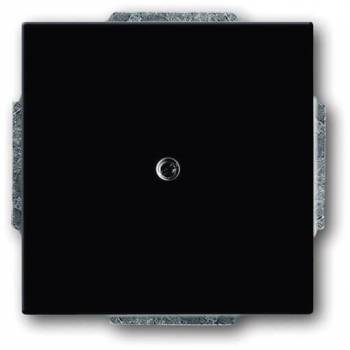 Busch Jaeger 2CKA001710A3612