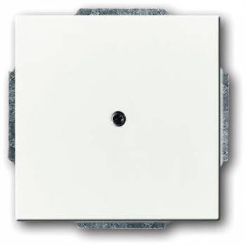 Busch Jaeger 2CKA001710A3163