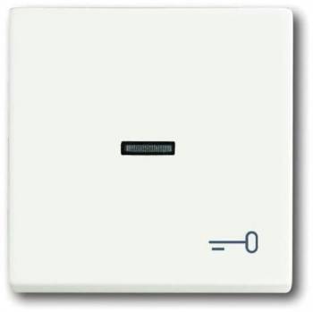 Busch Jaeger 2CKA001751A3032