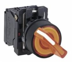 Schneider Electric XB5AK125M5