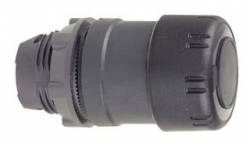 Schneider Electric ZB5AS42