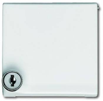 Busch Jaeger 2CKA001710A2298