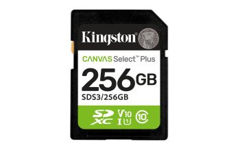 Kingston SDS3/256GB