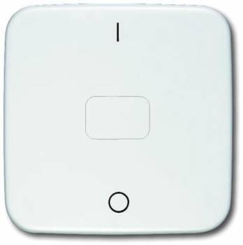 Busch Jaeger 2CKA001434A0570