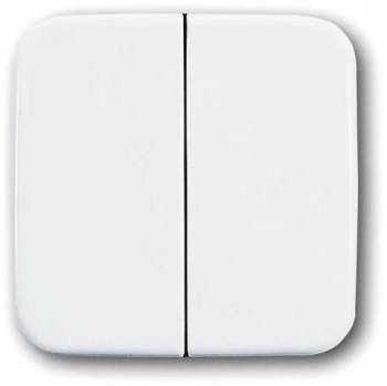 Busch Jaeger 2CKA001731A0892