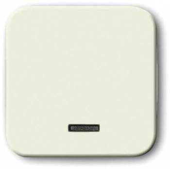 Busch Jaeger 2CKA006599A2815