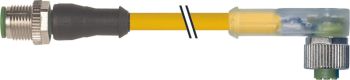 Murrelektronik 7000-40361-0550150