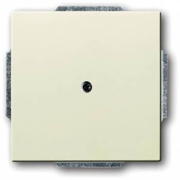 Busch Jaeger 2CKA001710A3145