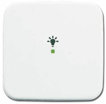 Busch Jaeger 2CKA006220A0080