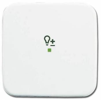 Busch Jaeger 2CKA006220A0086