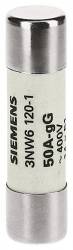 Siemens 3NW61171
