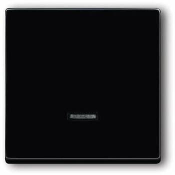 Busch Jaeger 2CKA006599A2881