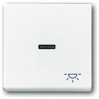 Busch Jaeger 2CKA001751A2753