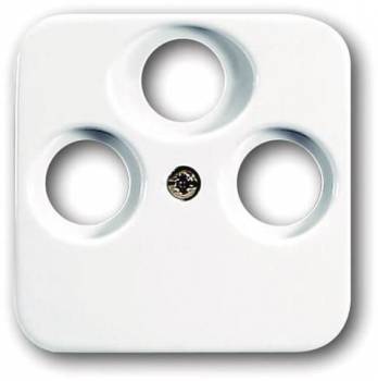 Busch Jaeger 2CKA001724A1754