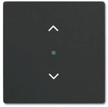 Busch Jaeger 2CKA006220A0500