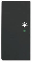 Busch Jaeger 2CKA006220A0504