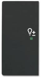 Busch Jaeger 2CKA006220A0507