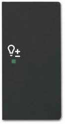 Busch Jaeger 2CKA006220A0508