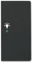 Busch Jaeger 2CKA006220A0509