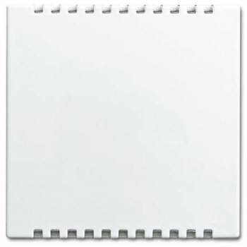 Busch Jaeger 2CKA006599A3021