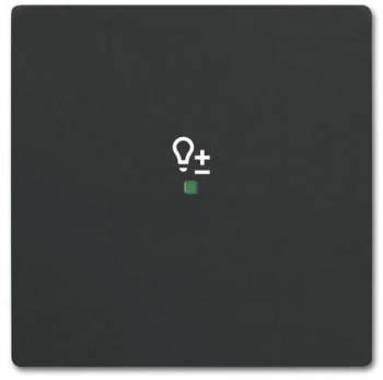 Busch Jaeger 2CKA006220A0502