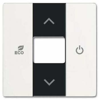 Busch Jaeger 2CKA006220A0494