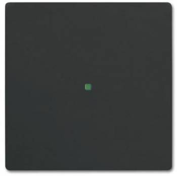 Busch Jaeger 2CKA006220A0498