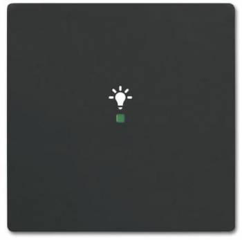 Busch Jaeger 2CKA006220A0499