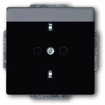 Busch Jaeger 2CKA002011A3802