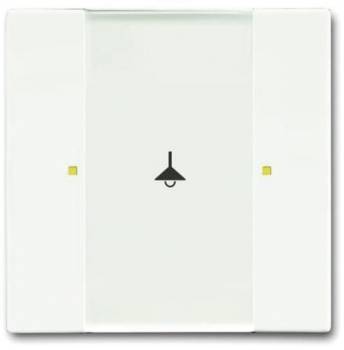 Busch Jaeger 2CKA006115A0203