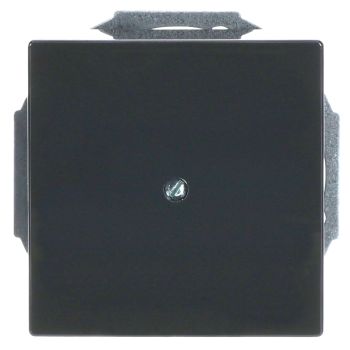 Busch Jaeger 2CKA001710A3614