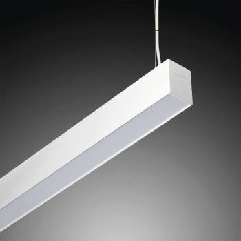 LAMP 110031871