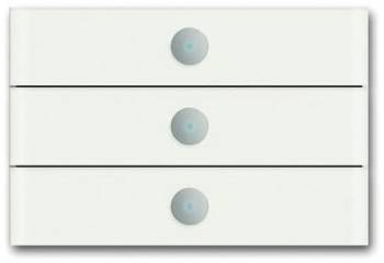 Busch Jaeger 2CKA006310A0171