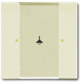 Busch Jaeger 2CKA006115A0194