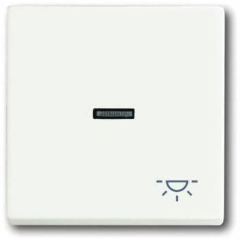 Busch Jaeger 2CKA001751A3031