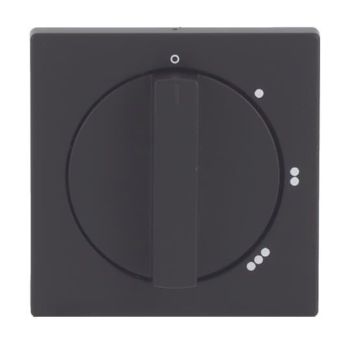 Busch Jaeger 2CKA001710A3913