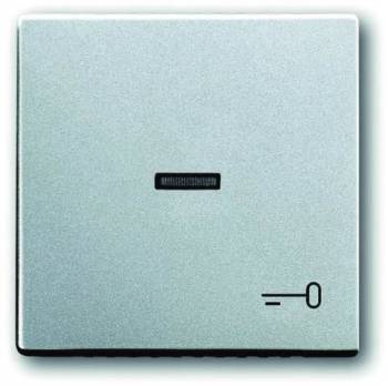 Busch Jaeger 2CKA001751A2953