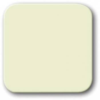 Busch Jaeger 2CKA001731A0223