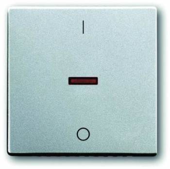Busch Jaeger 2CKA001751A2954
