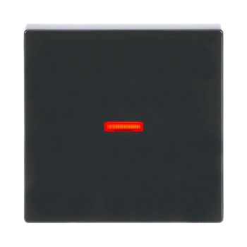 Busch Jaeger 2CKA001731A4037