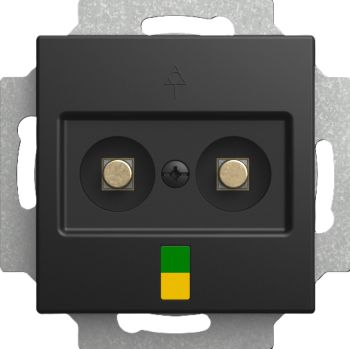 Busch Jaeger 2CKA002495A0100