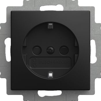 Busch Jaeger 2CKA002013A5543